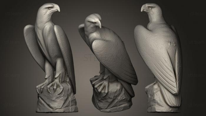 3D model Eagle (STL)